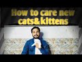 How to care new cats&amp;kitten in simple way | Billi ki Dekh bhal kese kare
