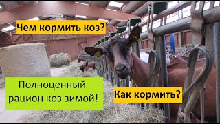 Зимний рацион коз