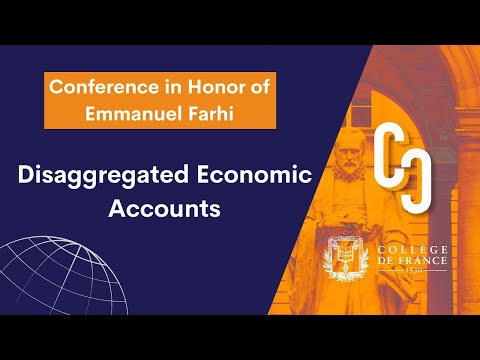 Disaggregated Economic Accounts