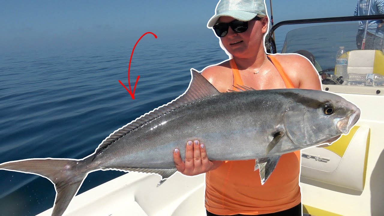 AMBERJACK, HOGFISH, & MORE! EPIC OFFSHORE FISHING IN THE GULF OF