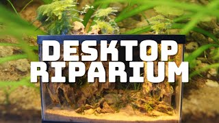 Desktop Riparium