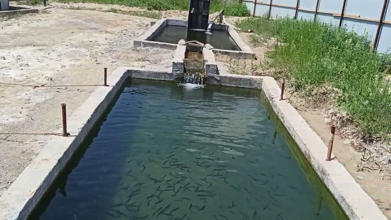 Казахстан. Алматинская область.Обзор.