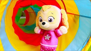 Paw Patrol Skye Playground Adventure in Maze