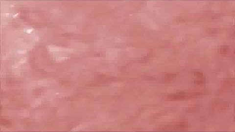 Ken pratt training pk ocr training etc