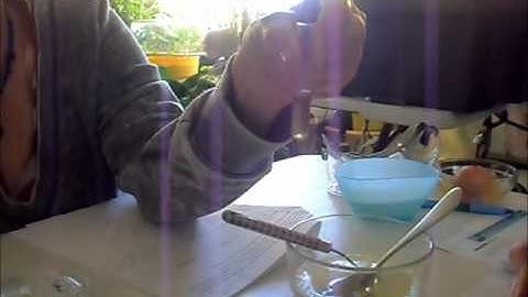 Macromolecules Lab Video