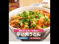 【レシピ】温もり！とろ～りあん！辛い肉うどん（業務スーパー花椒辣醤使用）