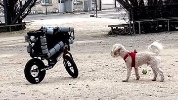 A BICYCLE ROBOT JUMPS AND CLIMBS TABLES