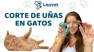 CÓMO CORTARLE LAS UÑAS A UN GATO  | ¡Fácil y sin hacerle daño!  Lauvet