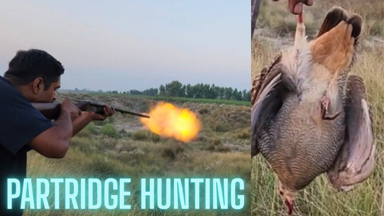 PARTRIDGE HUNTING | TEETAR KA SHIKAR | OUTDOOR COOKING | CLEAN & COOK