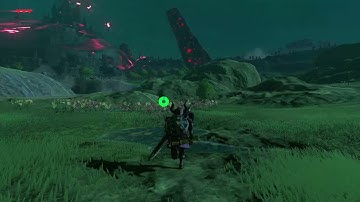 [DAY 75] of finding one korok seed everyday until Botw2 comes out