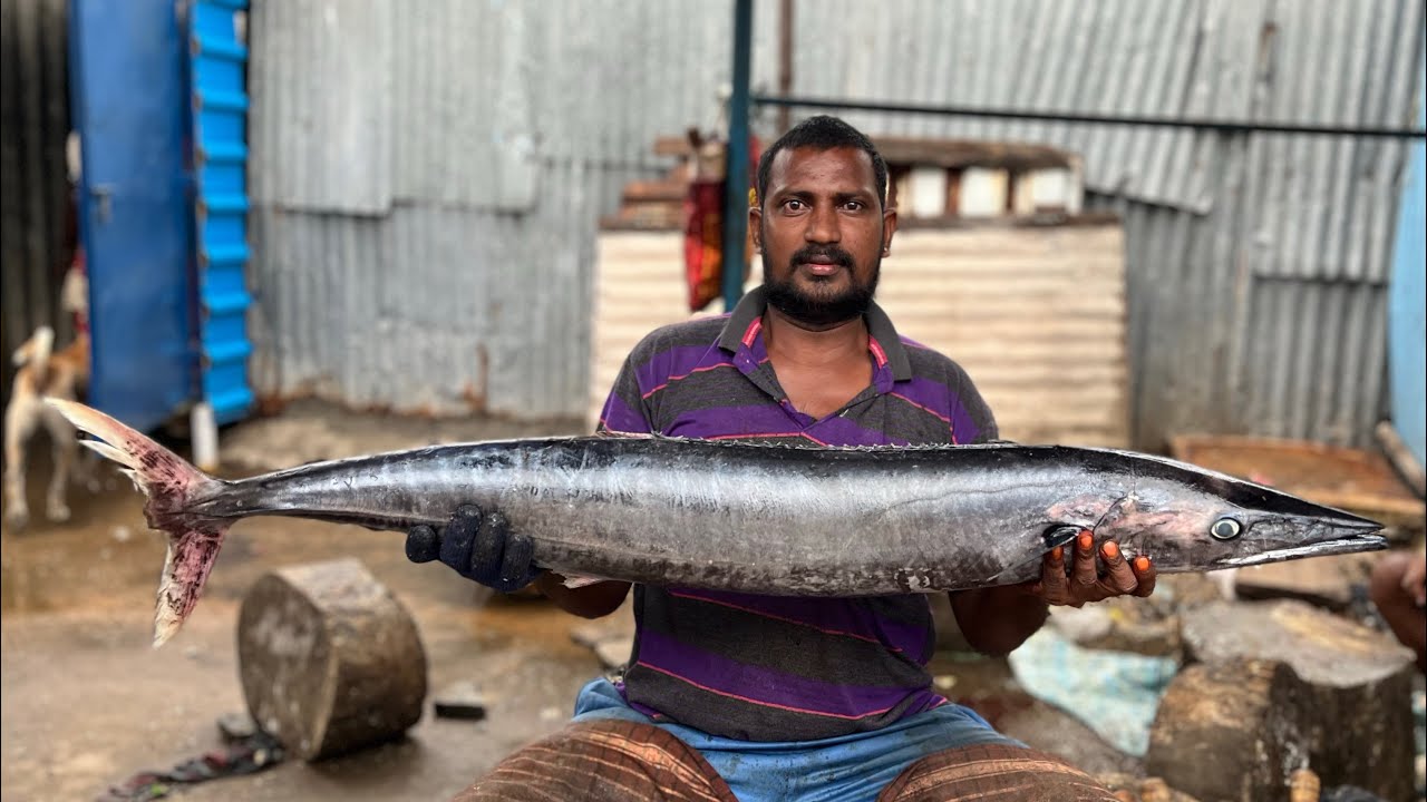 RANGOON MAVULASI FISH 🐟 CUTTING BY KANNAN⚔️🔥 - YouTube