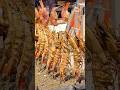 塩プロが豪快に全力で塩をふるった絶品炉端焼き🦐🐟【福岡 むさし座】