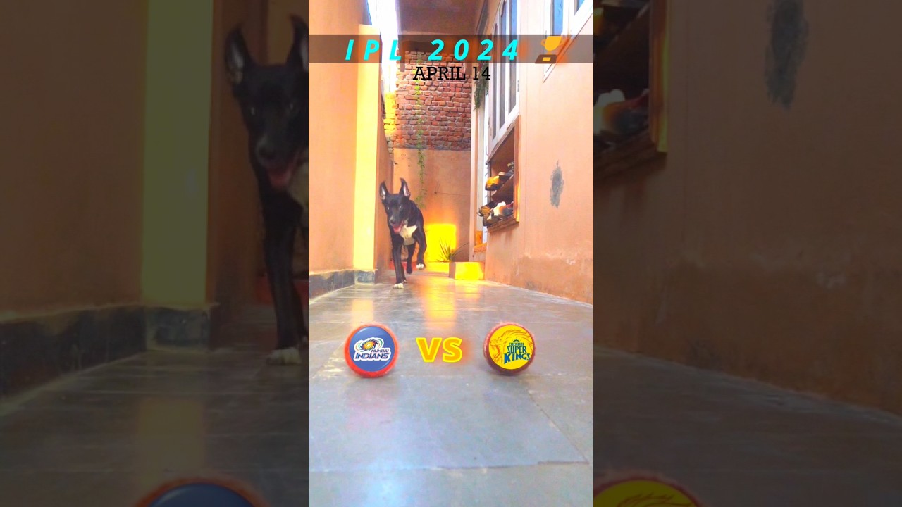 MI VS CSK MATCH PREDICTION | IPL 2024 | MATCH NO.29 | 