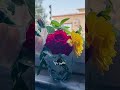 🥹#mashallah ☝️#love 🕋#music 🥹☝️🕋❣️ please subscribe 🙏🥺