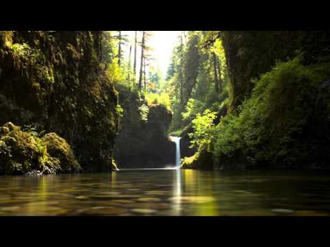 matisyahu---live-like-a-warrior-(hargulf-&-daniele-terranova-remix)