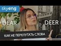 Dear VS Deer. Как не перепутать английские слова || Skyeng