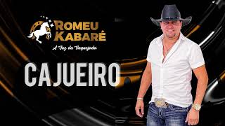 Romeu kabaré (cajueiro) shows (75)9 9235-6865
