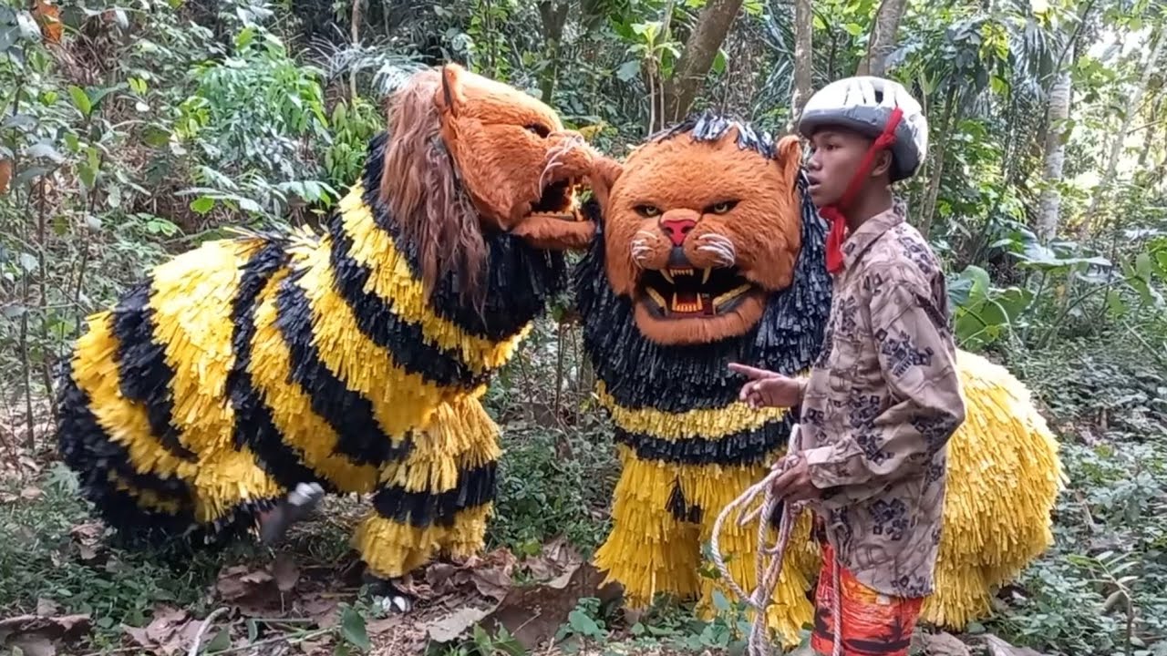 ZAFIR NGARIT NGIBEH MACAN E COKOCOH - komedi madura - maong remas