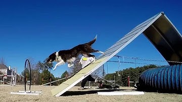 Rev Running Aframe January 2015