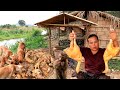 survival in the rainforest - cooking two chicken for dog & woman - Eating delicious HD