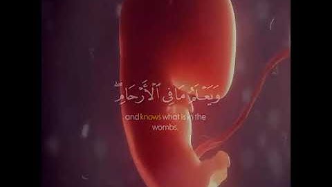 أواخر سورة لقمان بصوت القارئ اسلام صبحي