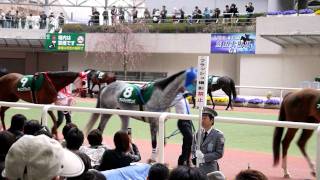 20110402　中山牝馬S　パドック　8番レディアルバローザ