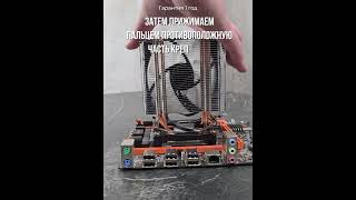 XEON как установить кулер на процессор | Инструкция по установке A41 MrCOLD #рек #mrcold #pcgaming