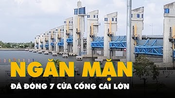 Kiên Giang đã đóng 7 cửa cống Cái Lớn để ngăn mặn