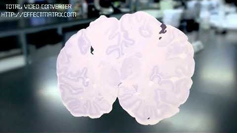 Brain Vitamins-Allan Jones-Part1