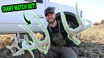 HOW TO find BIG WHITETAIL SHEDS on PRESSURED LAND!! (Shed Hunting the Midwest)