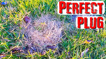 How to Dig the Perfect Plug Metal Detecting (2020)