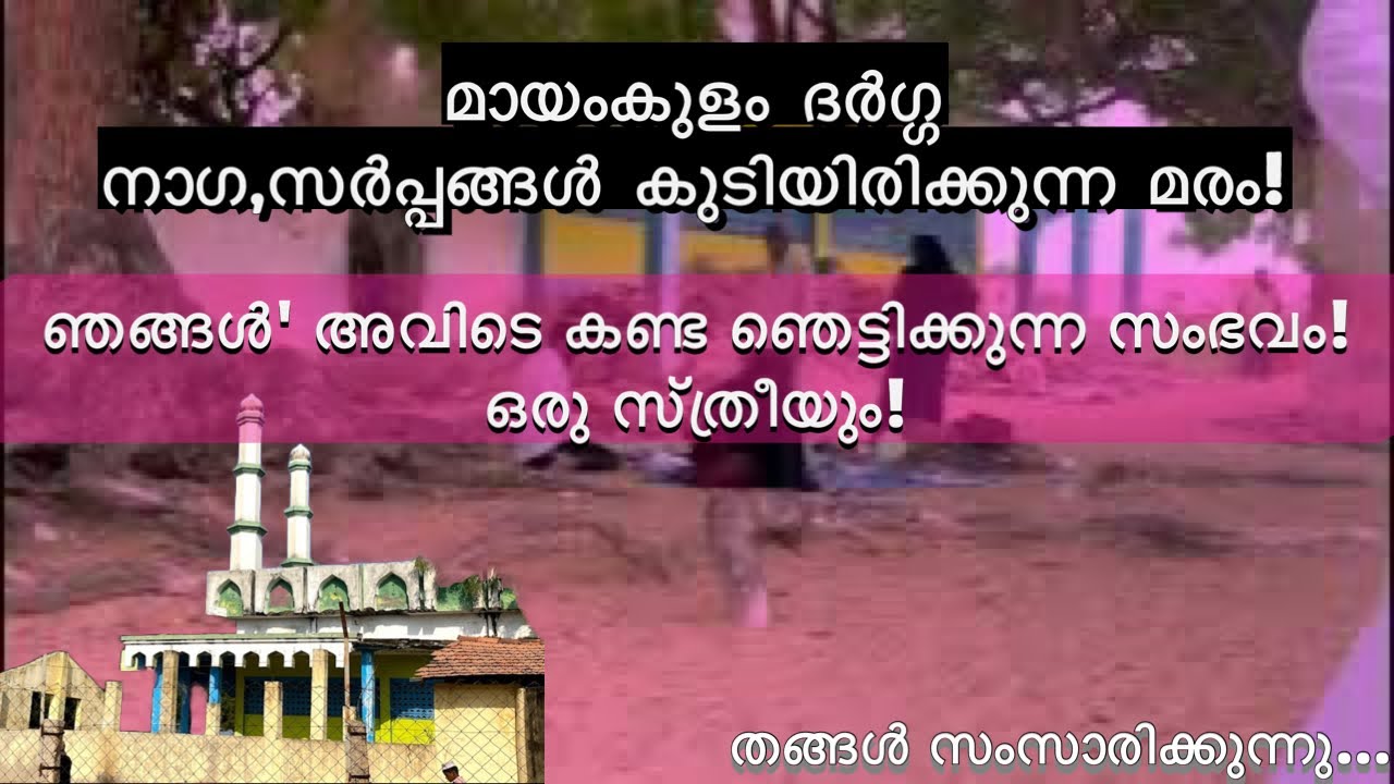 ഏർവാടി മായംകുളം ദർഗ്ഗ സർപ്പങ്ങൾ കുടിയിരിക്കുന്നമരവും ഞങ്ങളെ ഞെട്ടിച്ച് കളഞ്ഞ ഒരു സ്ത്രീ.ERVADI DARGA