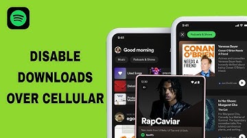 How To Disable Downloads Over Cellular On Spotify App | Step By Step