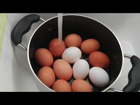 Cara Merebus Telur Agar Tidak Pecah dan Mudah Dikupas | Tanpa Garam dan Minyak | Hasilnya Bagus. 