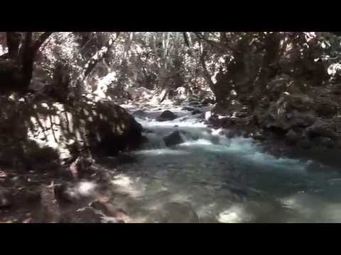 Hermon Stream (Banias)