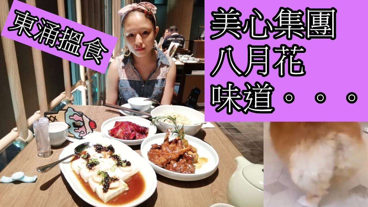 東涌搵食jasmine美心集團八月花味道 Youtube