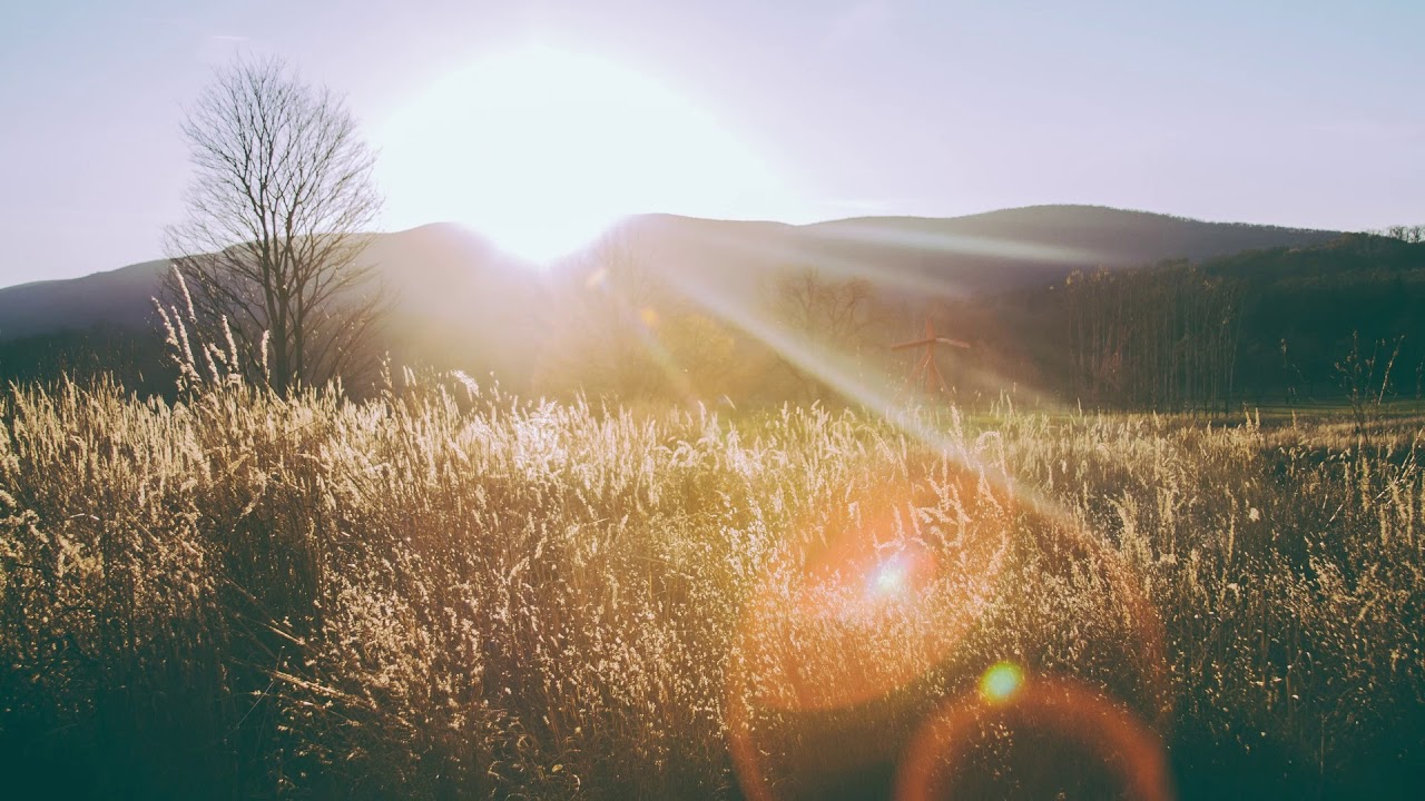 Edvard Grieg -  Morning Mood (1 hour loop)