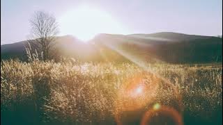 Edvard Grieg -  Morning Mood (1 hour loop)
