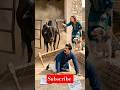Aggressive bull in mandi... #dramachannel #viral #comedy #youtubeshorts