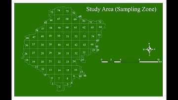 Create Fishnet or Grid Polygons in ArcGIS | Sampling Design for Inventory Study