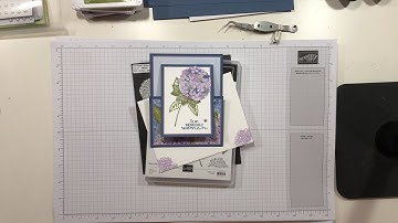Stampin Up!//Hydrangea Haven//Hydrangea Dies//sneak peek//Fun-Fold//Jan-Jun 2021 Mini Catalog