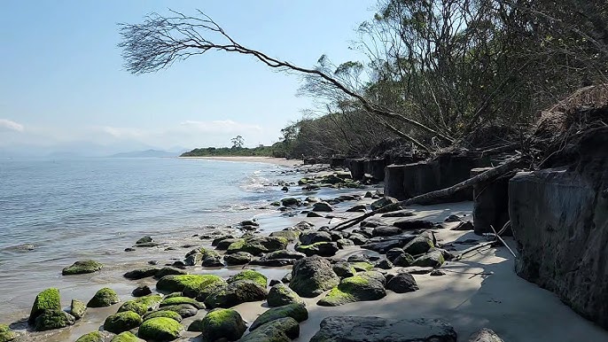 ENGOLIDO PELA AREIA MOVEDIÇA NA CAMINHADA PELA PRAIA DESERTA