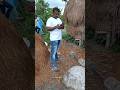 ঐ পাশ থেকে কি বের হয়ে আসলো #shortvideo #mychannel #2025shorts