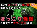 【2ch怖い話】ほっこり出来る「怖い話」集めちゃいました【総集編】
