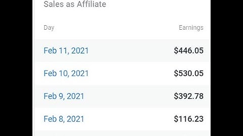 microsoft ads digistore24 $976.01