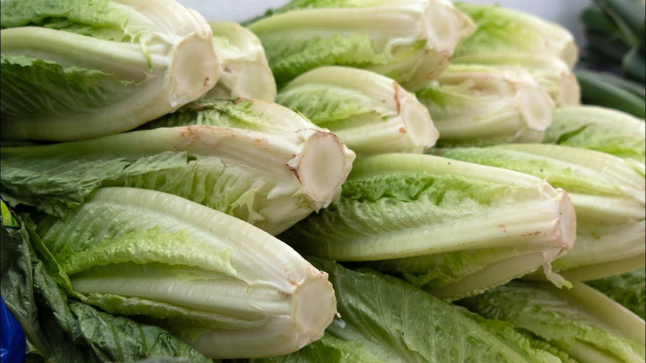 How Do You Know If Lettuce Has E Coli?