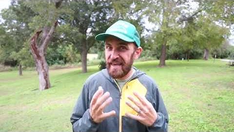 Full Spectrum CBD vs CBD Isolate