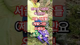 진짜 욕 나온다 욕 나와!? #시골 #나물 #형사재판 #경찰 #훈방 #삶 #여행 #인생은행복해
