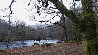 Wild Camping Trip with my friends!!