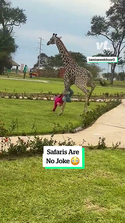 Safaris are no joke 😳